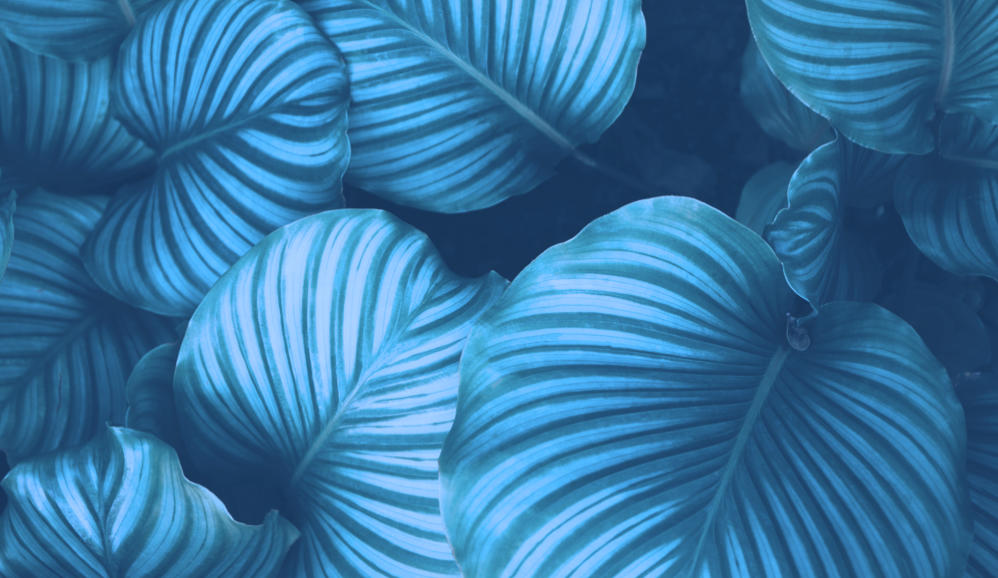 Fondo institucional Piscinas Aquafast